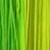 Fluo Green-Lime
