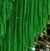 Grass Green